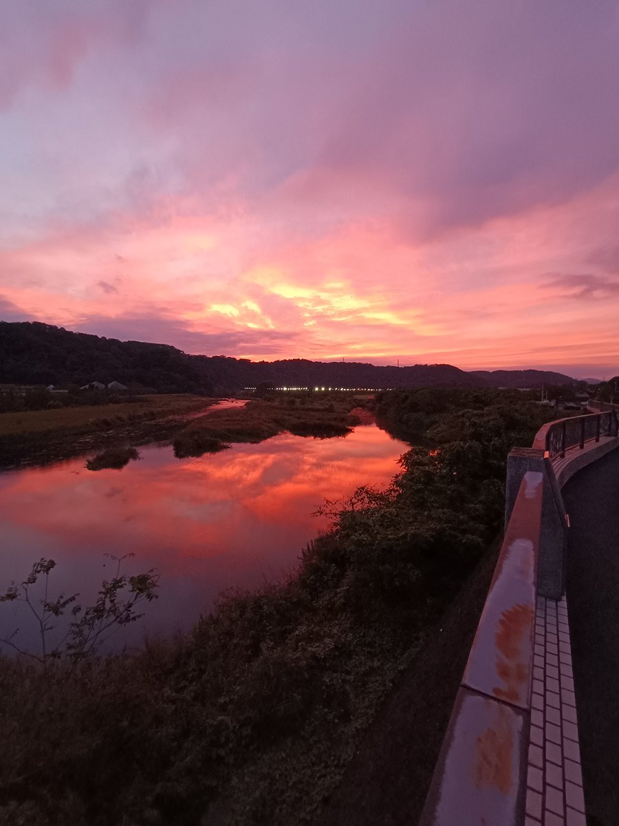 何だかんだ大阪は都市の割に家賃が安い気がする。

万博終わったし行ってみるか。
