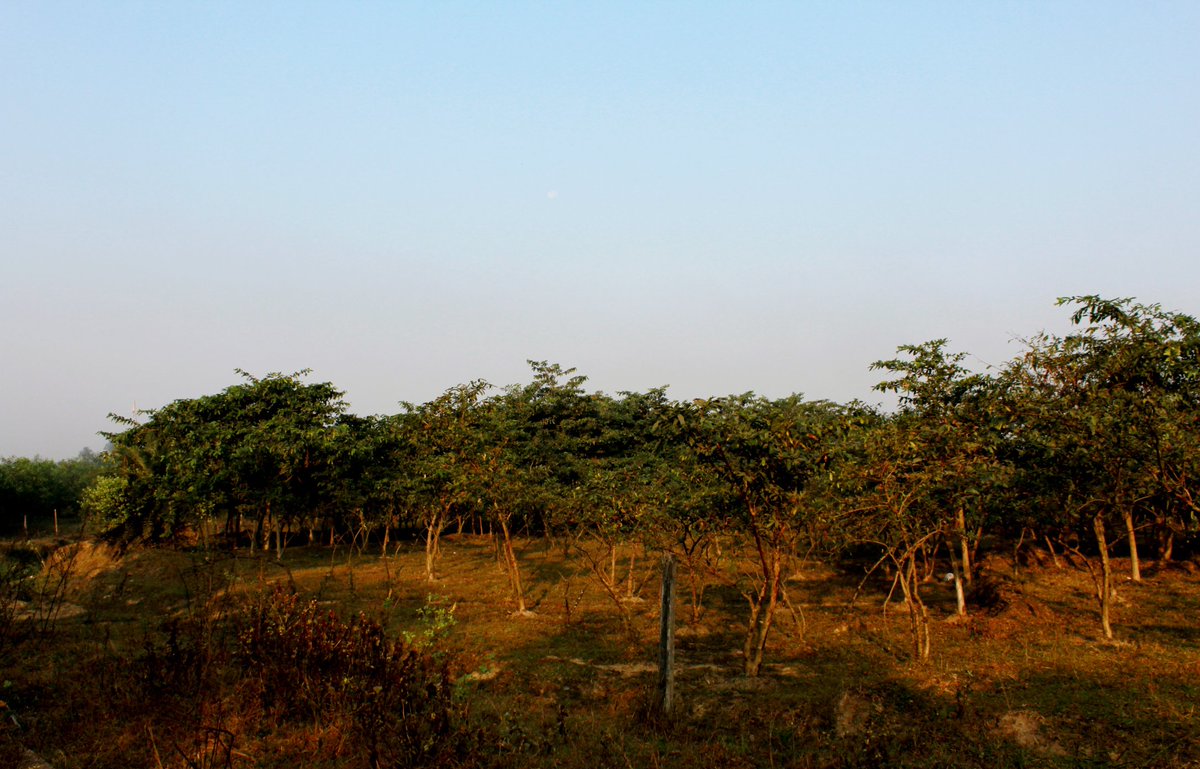 Agnimitra Talapatra (@agnimitratalap1) on Twitter photo 