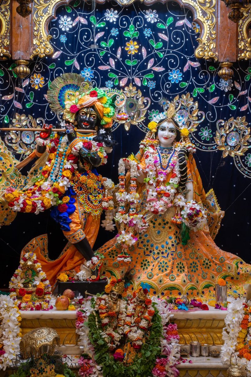 जय श्री कृष्णा🌼🦞
🌟🏵️राधे राधे