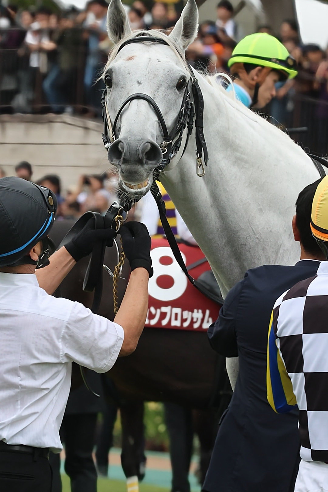 コロン(Coron) (@coron2969) / X