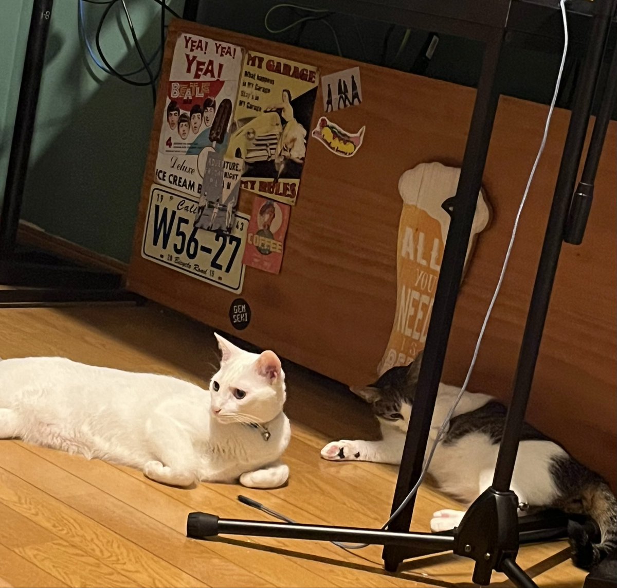 今日21時から久しぶりの弾き語り配信やりますー！🎸
YouTubeデネ！

▼ちたへんりーのYouTube
youtube.com/@thittahenry?s…