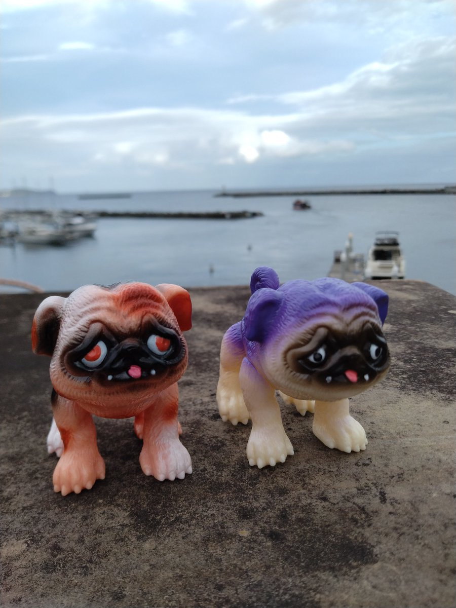 パグ獣🐶作った人あきぱぐ🐶 (@pugchaa) / Posts / X