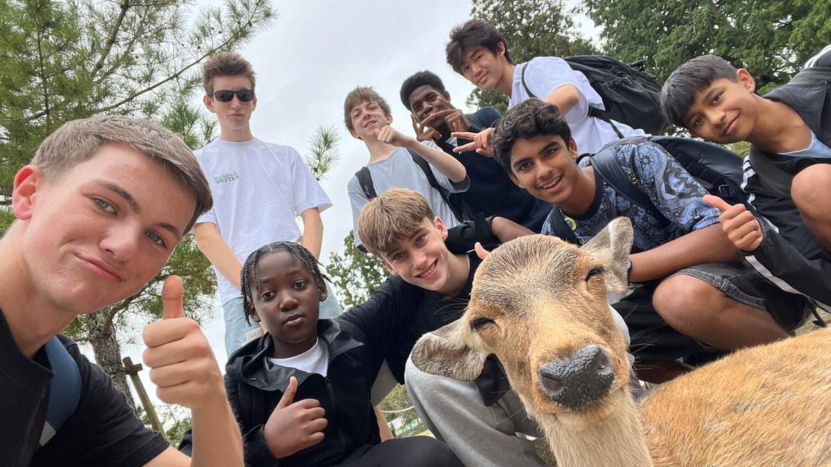 Ms Jestico tweet media