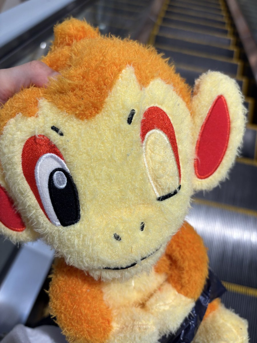 左目ないヒコザルを誕プレで貰いました