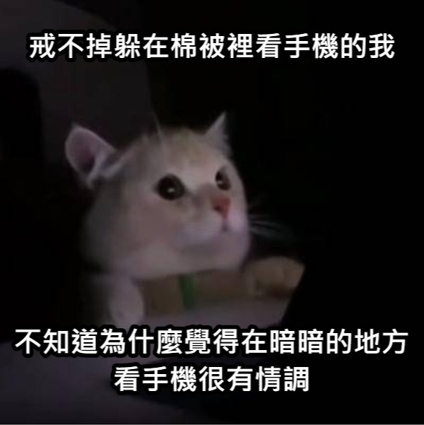 Mephisto_Mo's tweet photo. 據說躺在床上、一片黑暗的環境中看手機，對眼睛的傷害是平時使用的數倍有餘。
所以這是一個非常不好的習慣，請勿模仿🥲 https://t.co/LdcZ4OKFR9