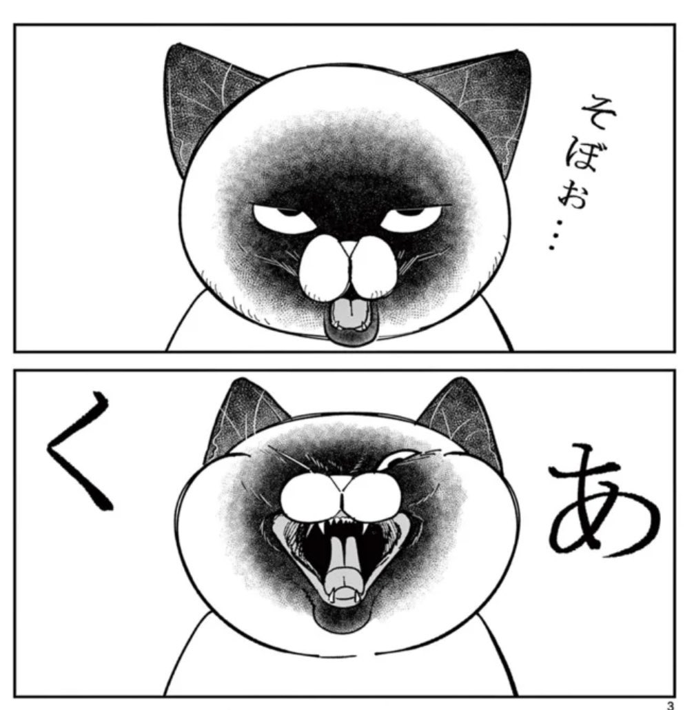 オヤジとにゃん吉🐾公式 (@oyazitonyankiti) / Posts / X