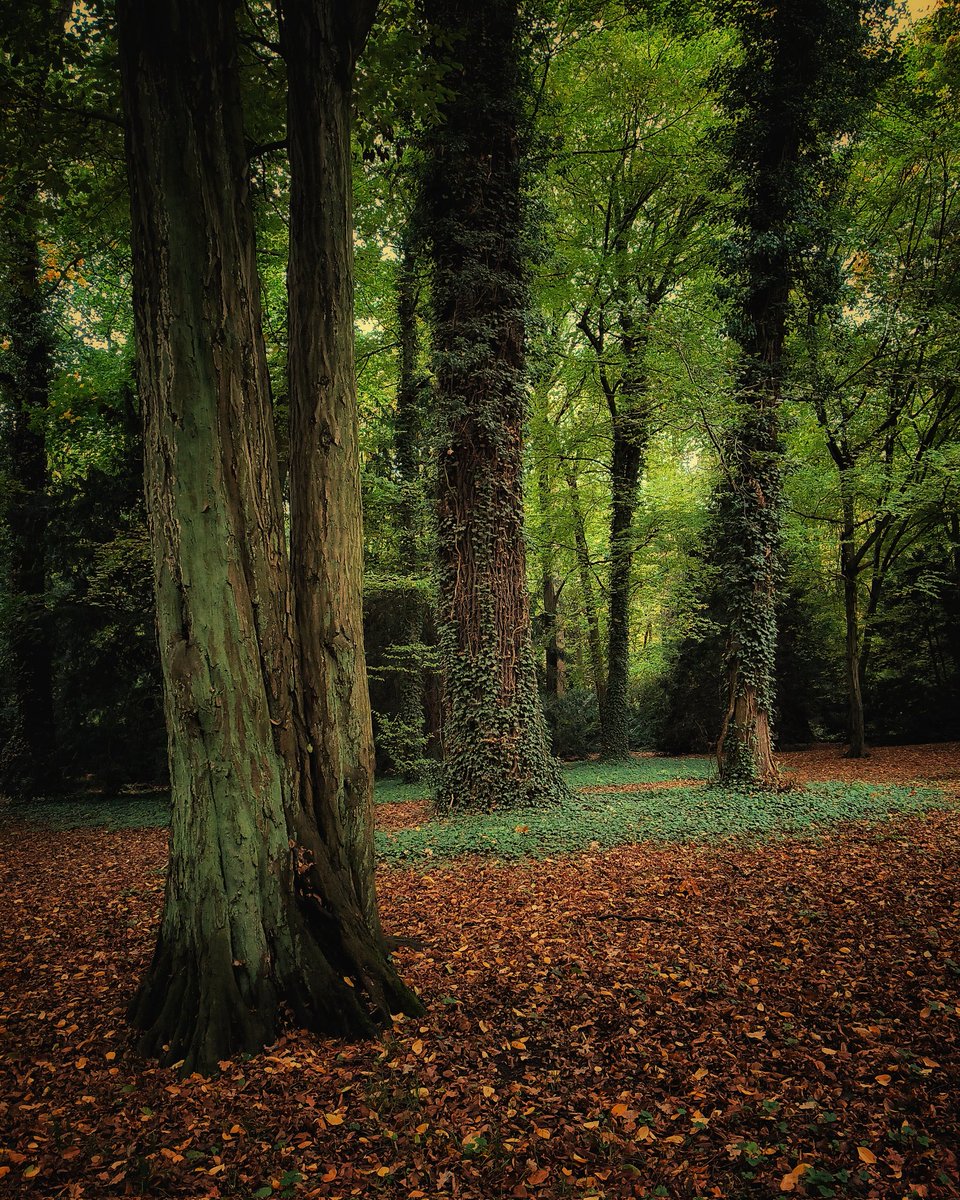 Marek Czartoryski (@markchortsnotes) on Twitter photo 