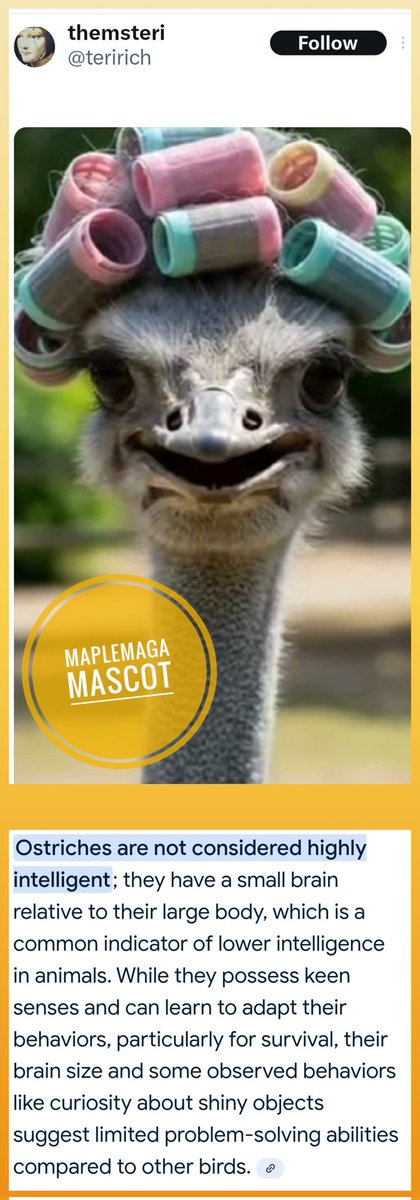 kenpaquette's tweet image. #MapleMAGA