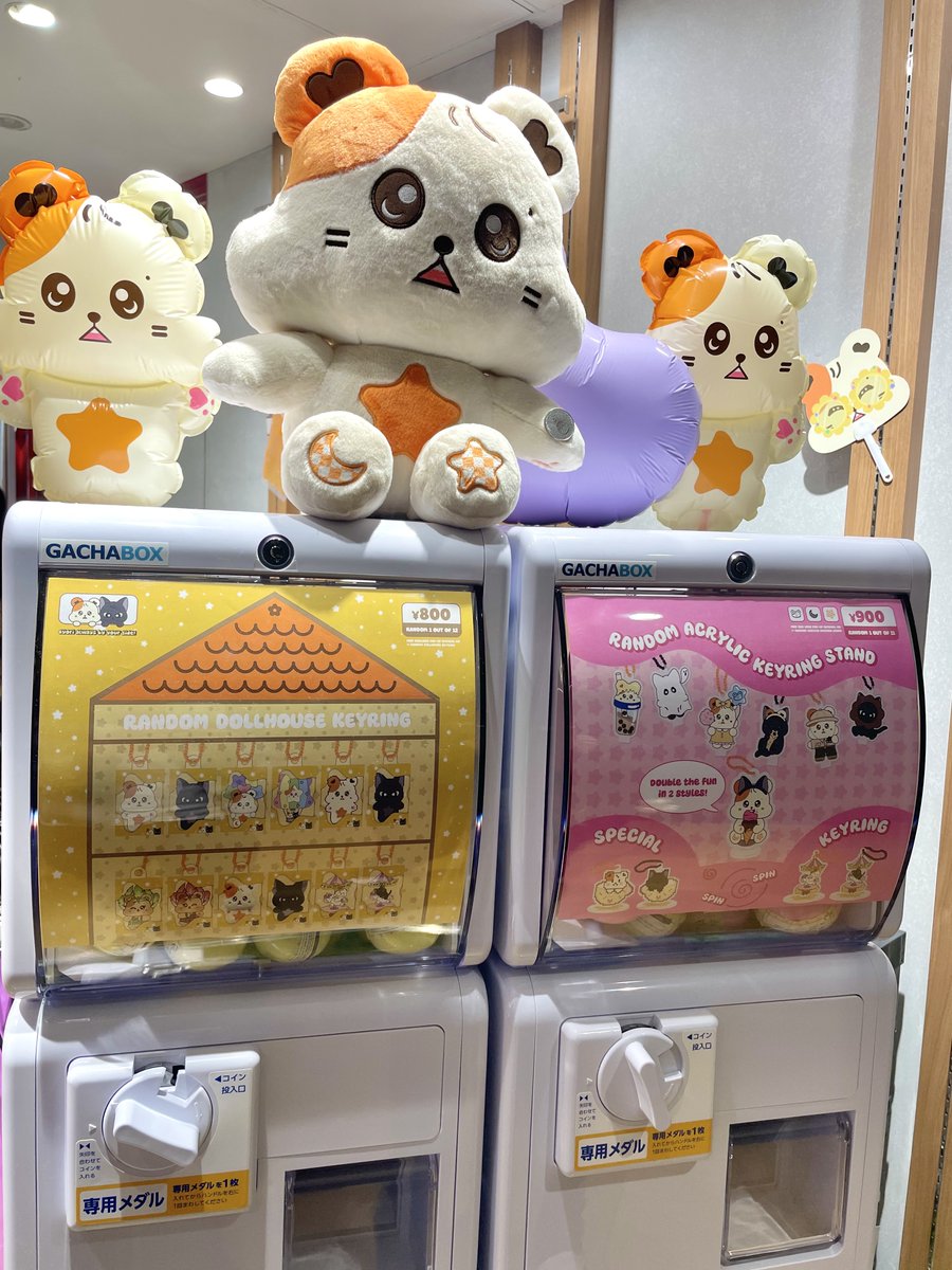 ムンビョル] MOONLIGHT ADVENTURE : HAMBYOLAND ハムビョリも