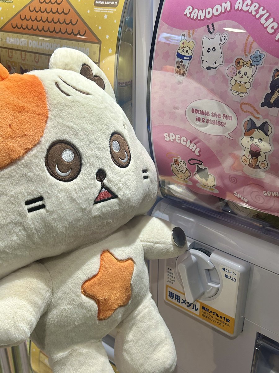 ムンビョル] MOONLIGHT ADVENTURE : HAMBYOLAND ハムビョリも