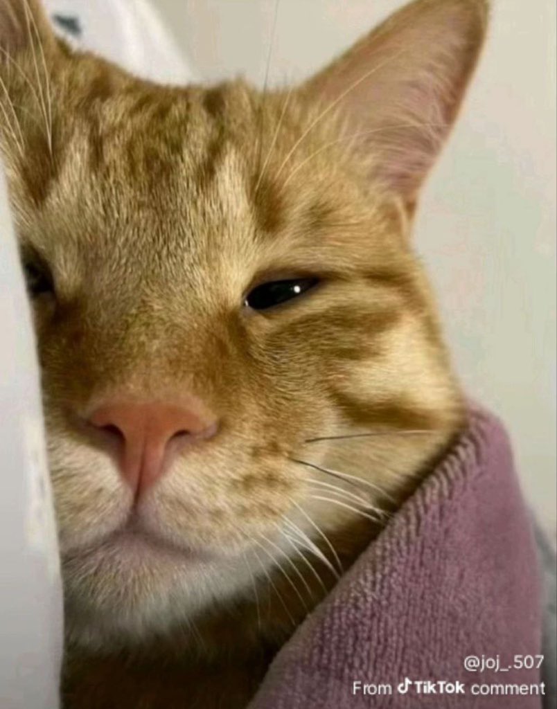 <a href="/interesting_aIl/">Interesting As Fuck</a> cool