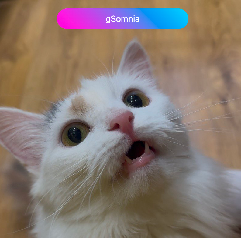 Day #11 of waiting for $SOMI = $2
$SOMI stuck at ~$0.5 but vibes are up

Weekend mode on: 
family, coffee, Netflix, and maybe a little <a href="/Somnia_Network/">Somnia</a> scrolling before bed. 😌