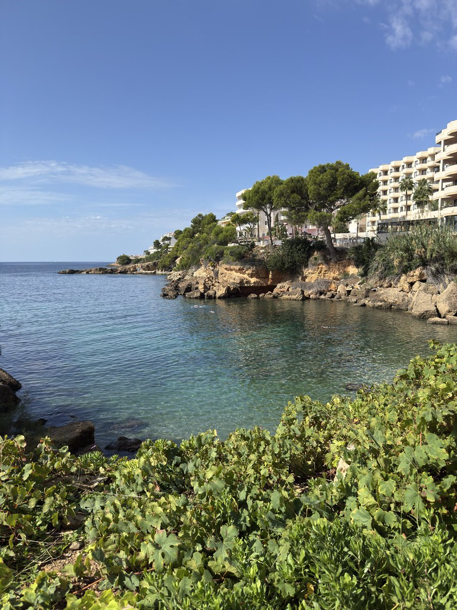 旅行久しぶりすぎ、、✈️

今回めちゃリラックスできる！🥹