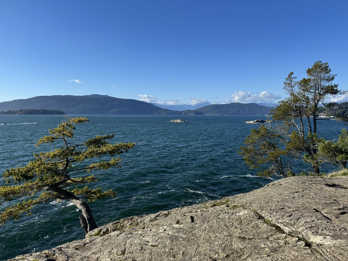 kingof416's tweet image. #LighthousePark #WestVan #DouglasFir #WesternHemlock #Arbutus #ShorePinePoint