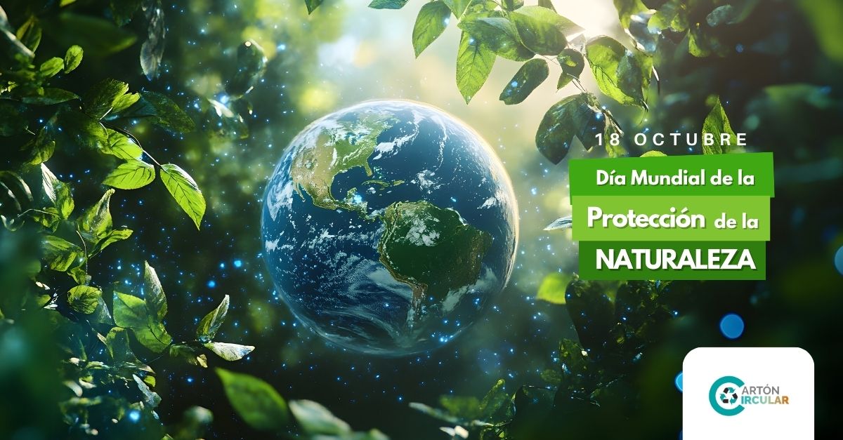 🌍 Hoy celebramos el #DíaMundialDeLaProtecciónDeLaNaturaleza.
🌿 En #CartónCircular impulsamos la economía circular en los envases industriales, dando una segunda vida a los materiales y garantizando su trazabilidad.
💚 Proteger la naturaleza es gestionar bien sus recursos.