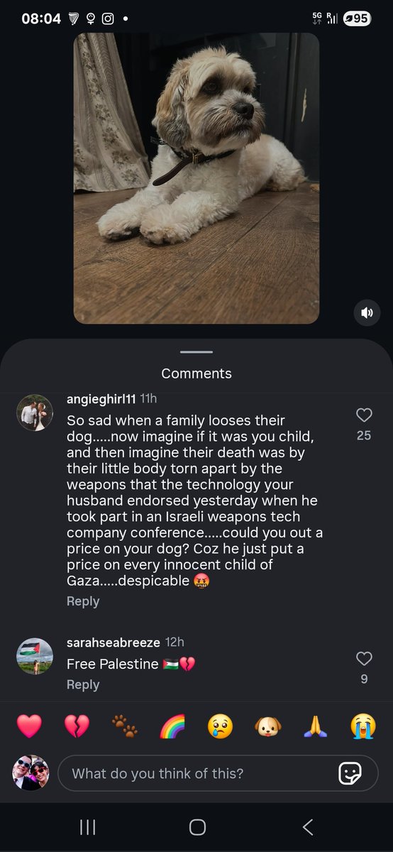 John McGuirk tweet media