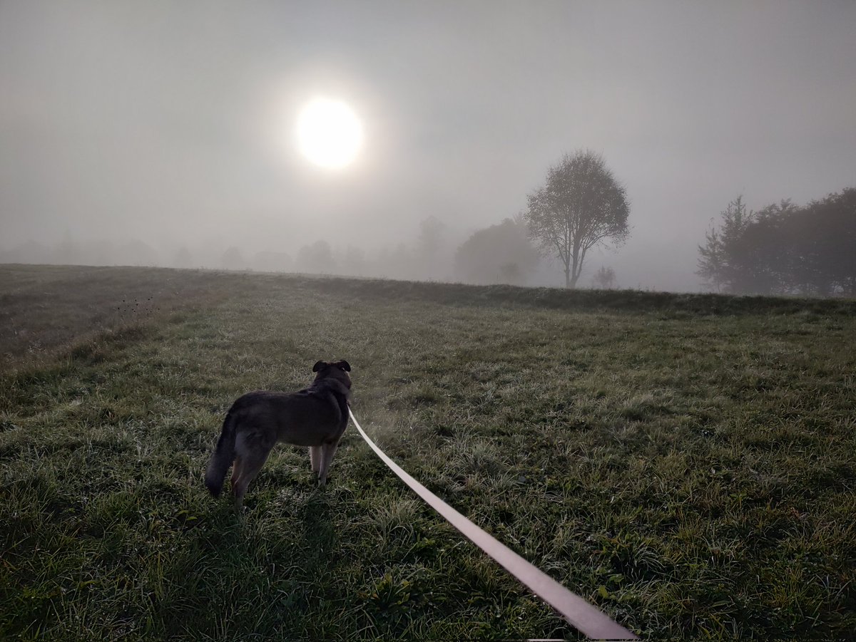 Jure Sah 🇪🇺🇸🇮 tweet media