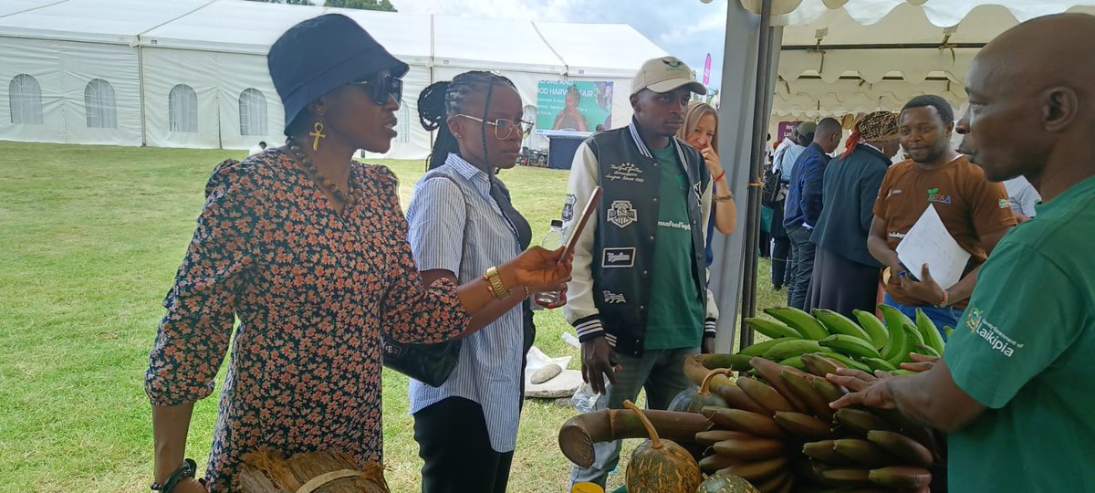 WingFarm tweet media