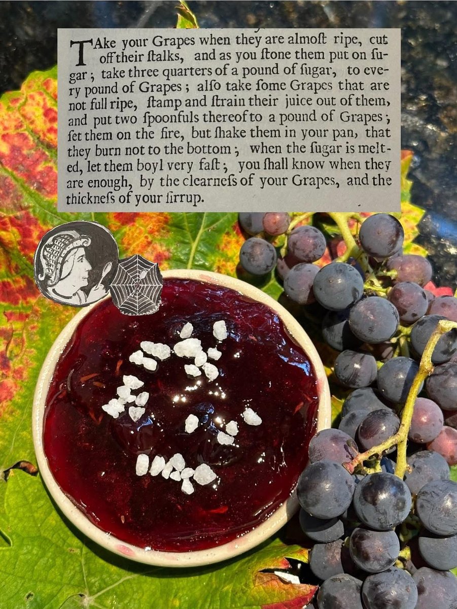 Easily one of the messiest, tedious and time consuming preserves I have ever made but the end result is worth it! There are no Tudor recipes for #grape #preserves so I had to go with #Rabisha's from 1682. It appears that Tudor grapes were only good enough for making verjuice.