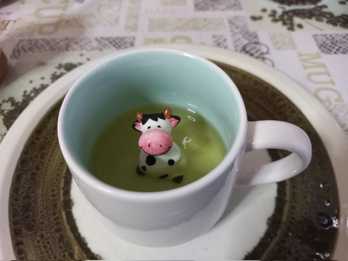 nima_drybr's tweet photo. خواهرم برام هدیه ماگ گرفته ولی فقط دماغم می خوره به دماغ گاو وقتی میرسی به آخر چایی.. 🫥 https://t.co/UjxewAcQvk