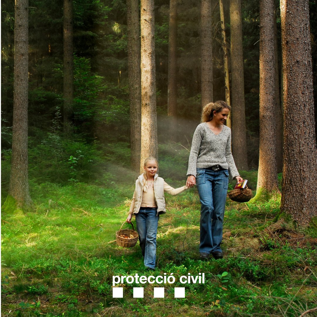 🍄 Boletaires: al bosc, precaució!!

🥾 Consulta la previsió del temps, informa't sobre la zona sinó la coneixes i equipa't amb roba adequada, aigua i menjar

👥 Ves en companyia i porta el mòbil ben carregat

Més consells ⬇️
gen.cat/3Y0HcFg