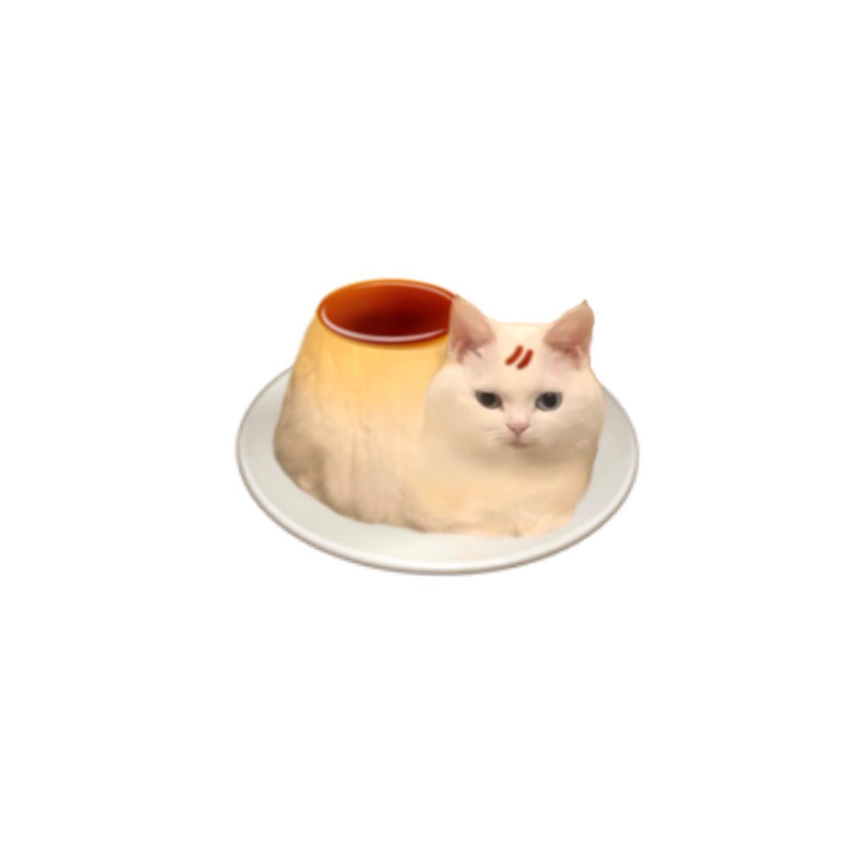 fairyclub1_'s tweet image. 🐈cute