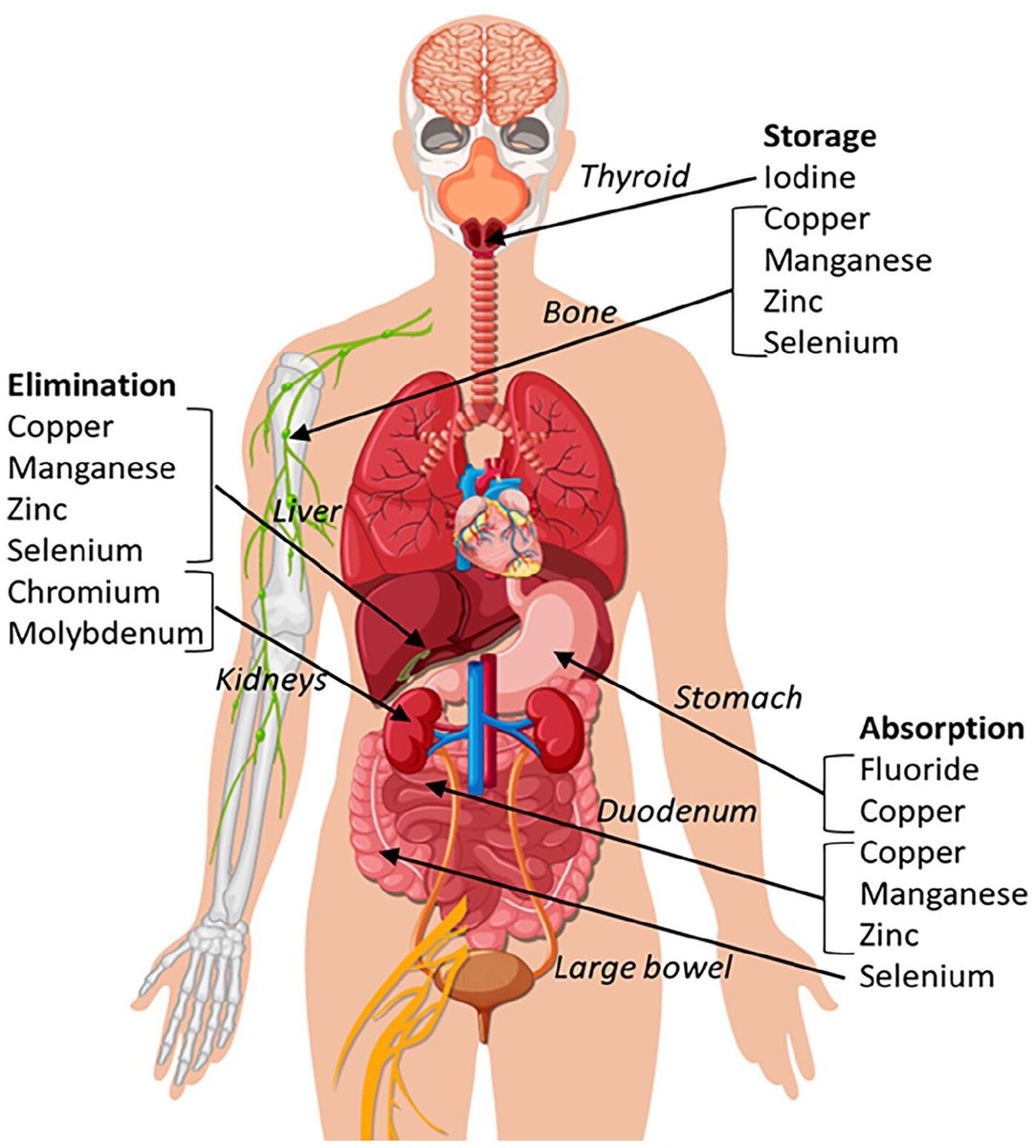 Today's Paper of the Day is:

Trace elements: Clinical perspectives in the critically ill

criticalcarereviews.com/latest-evidenc…

Join us to read 1 paper per day and stay up-to-date as we cover the spectrum of critical care across 2025