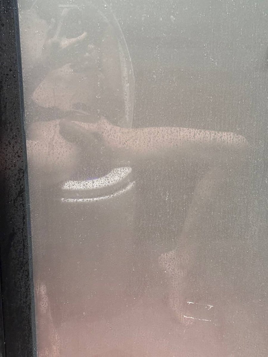 booydoog🐶 tweet media