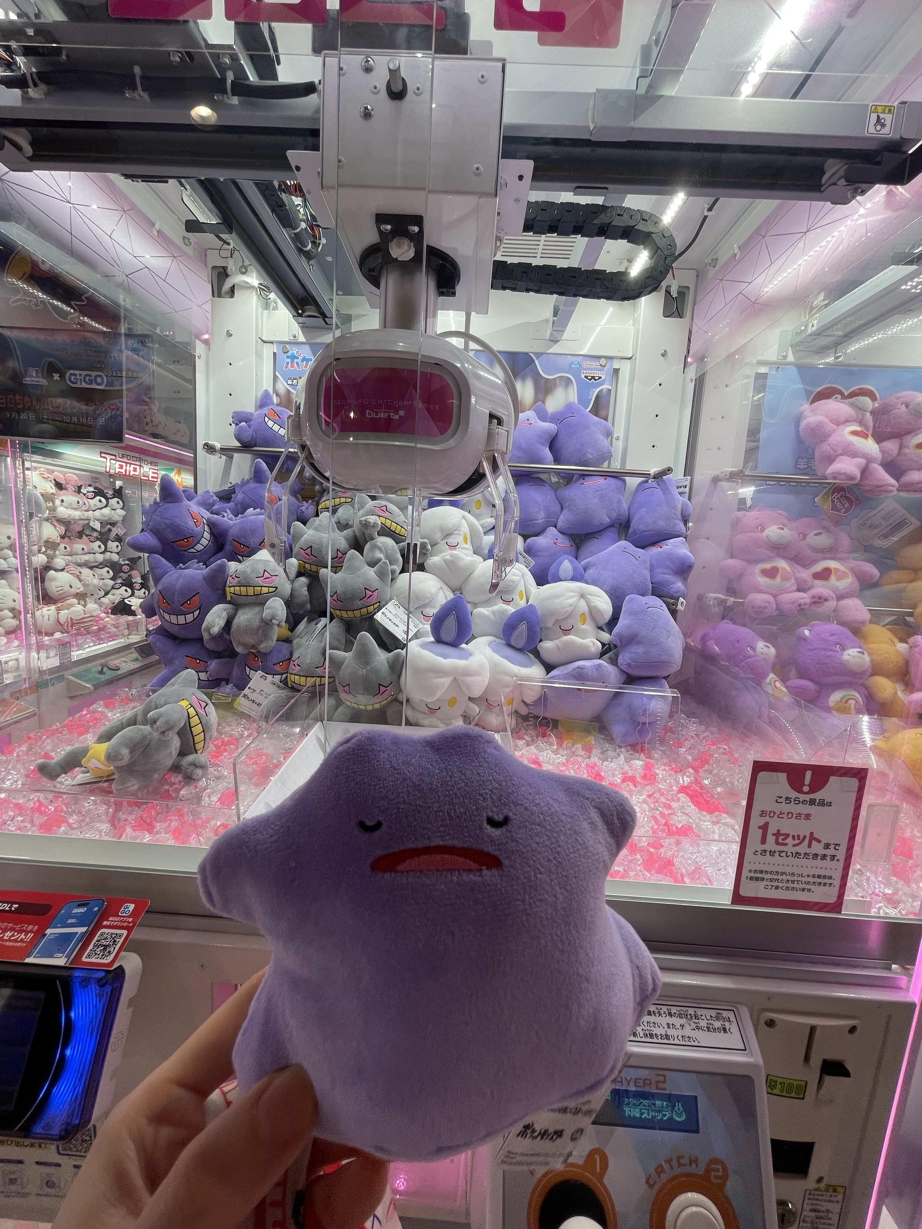 ごまちん🦭 on X: 