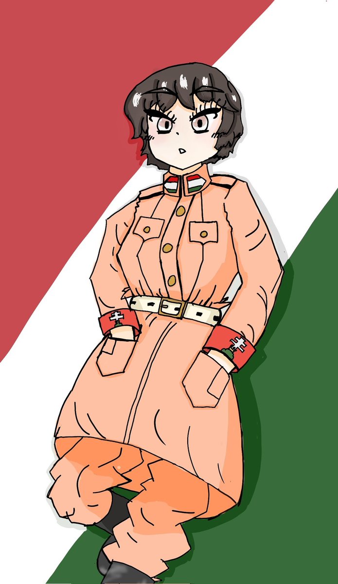 🇭🇺さん
#もんどすとらの