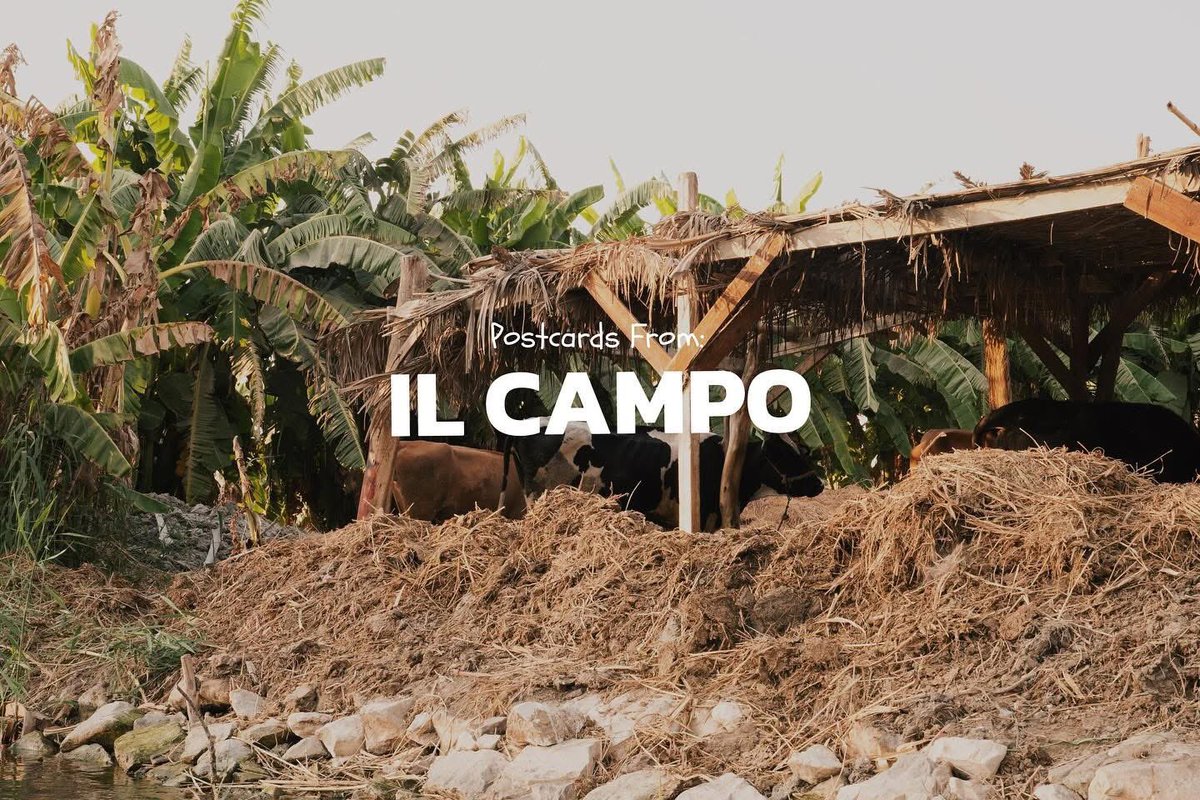ilcampoeg's tweet image. Postcards From: IL Campo 💌
📷 @audrius.kites 

📲 Reserve your spot today:
📧 Email: reservation@ilcampoeg.com
📱 WhatsApp: +201093455959

#ILCAMPO #NatureEscape #CairoRetreat #HiddenGem #EcoStay #NileView #CairoNature #RelaxAndRecharge #TravelEgypt #NatureLovers #WeekendGetaway