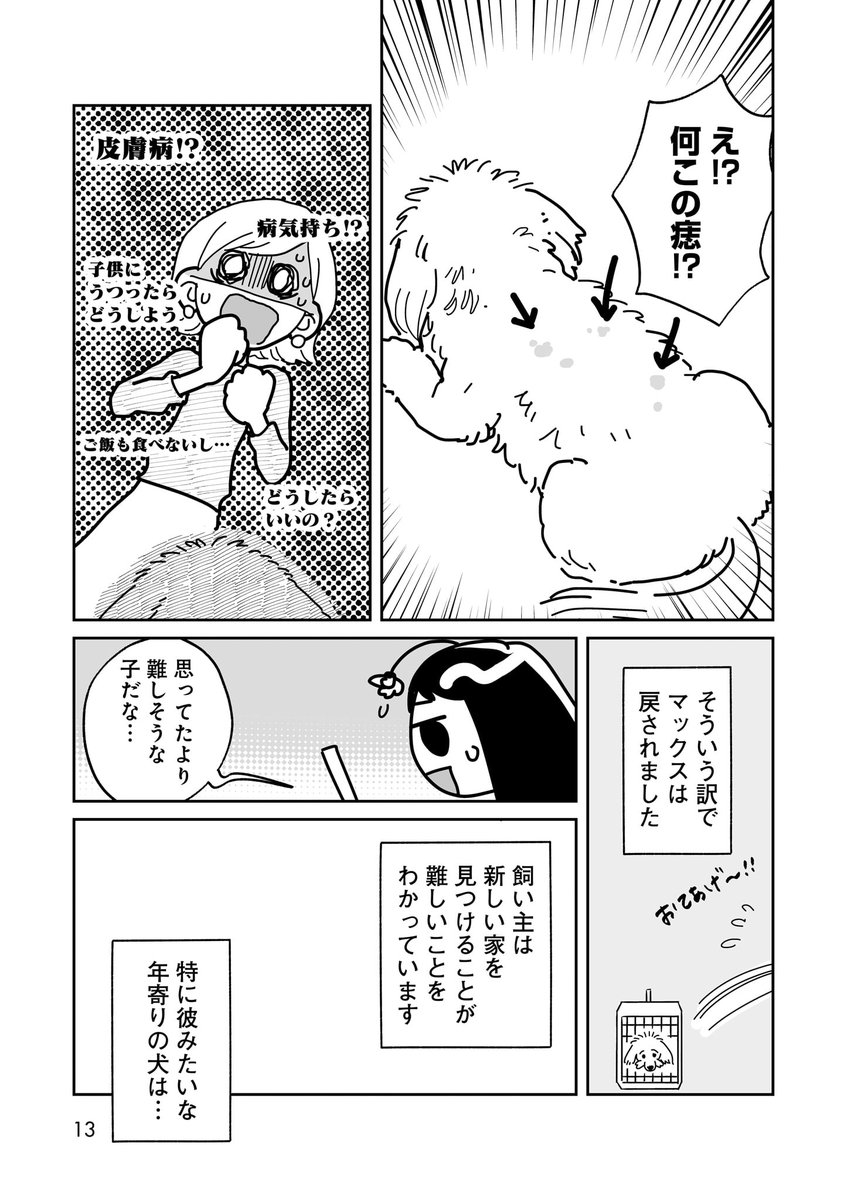 自分たちが引き取らなかったらシェルターで生涯を終えそうだったからかなあ。(漫画は体験記です🐶)
15歳の老犬だし最後の時間を手伝うぐらいならできそうだと引き取る事にしました。 