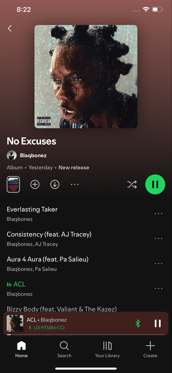 vibesAI01's tweet image. This album is fire🔂.@BlaqBonez @Meelky_f  open.spotify.com/track/6E9G3sxL…