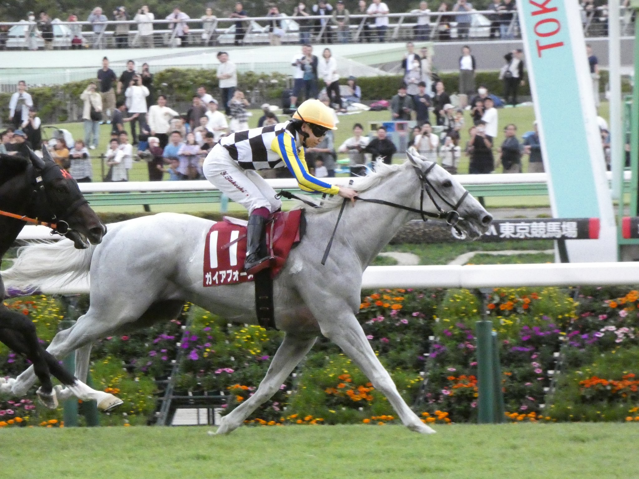 mackmackmack69 on X: 