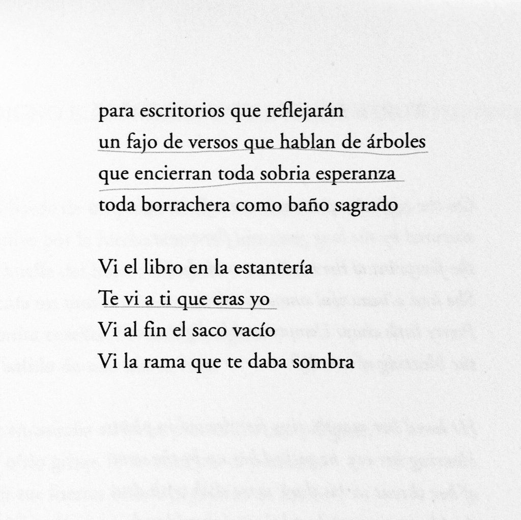 «Te vi a ti que eras yo». Este verso de Patti Smith.