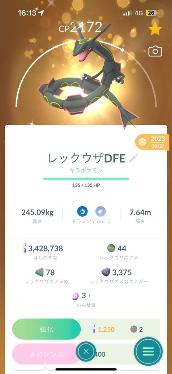 レックウザどっち育てたらいいんかな
やっぱさすがにキラ？