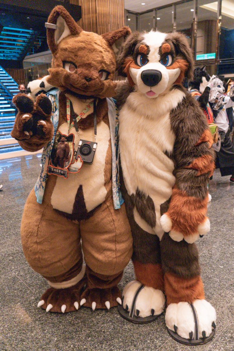 可愛狗狗連線！！！🌝

Doggy connections!!! 🌚

🐶: <a href="/IcyTheBernese/">獸汁冰/Icy</a> 

#FursuitFriday