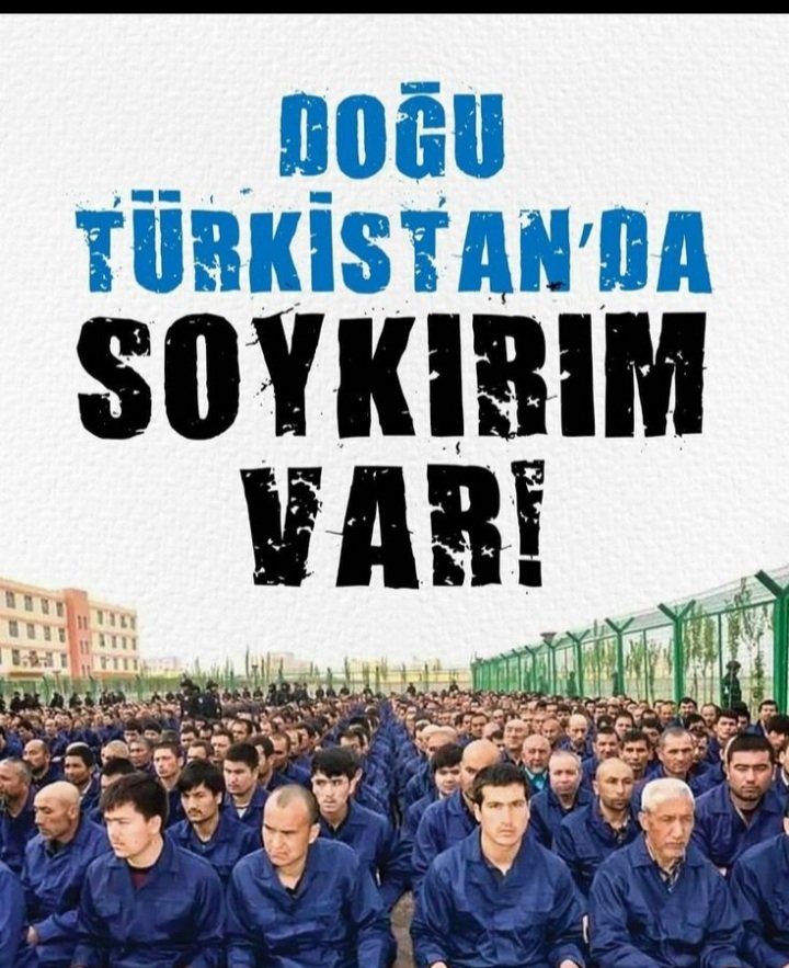 Free türkistan