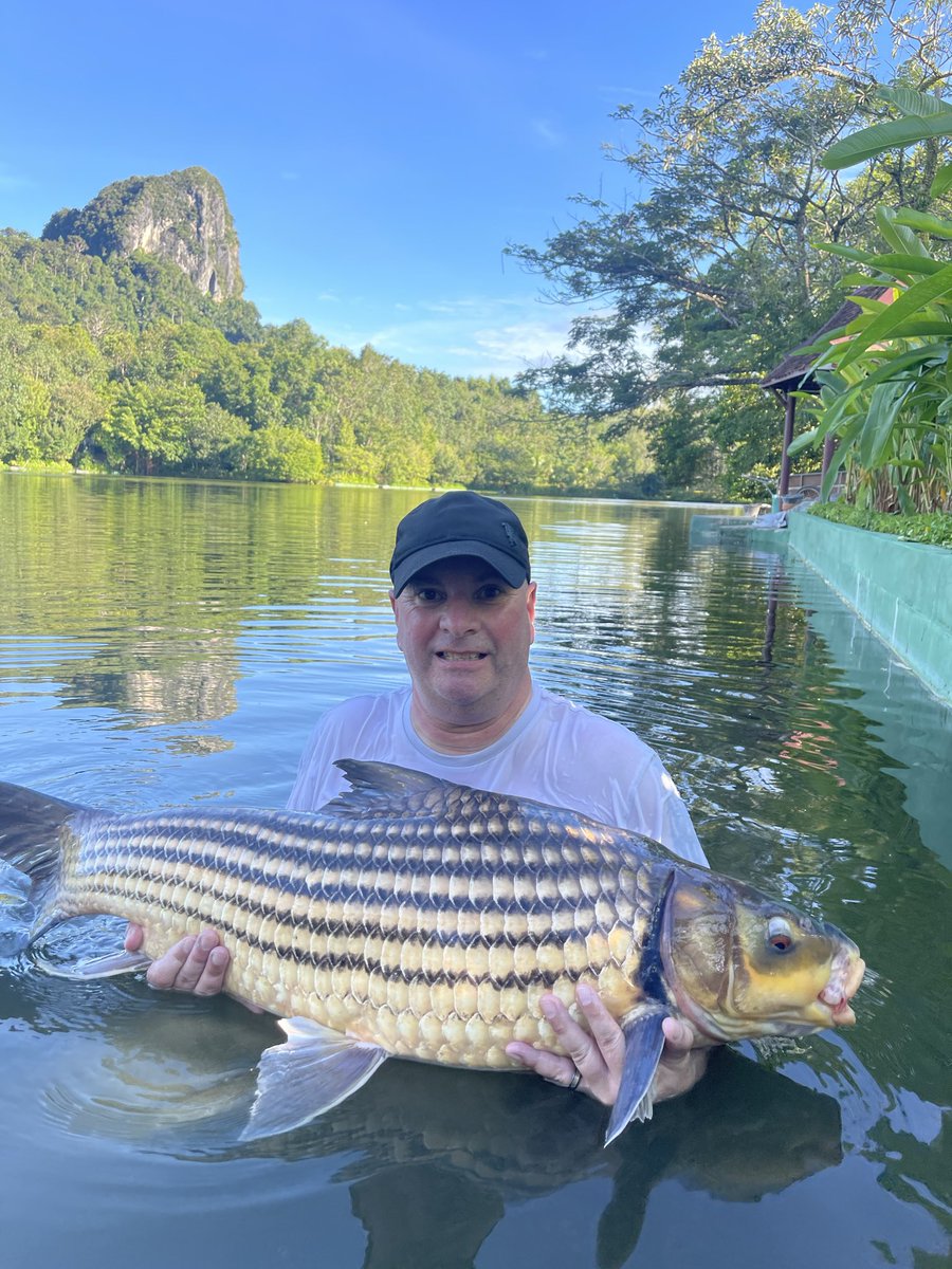 Keith Dawe tweet media