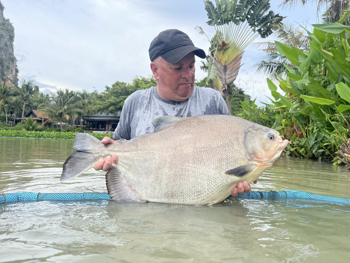 Keith Dawe tweet media