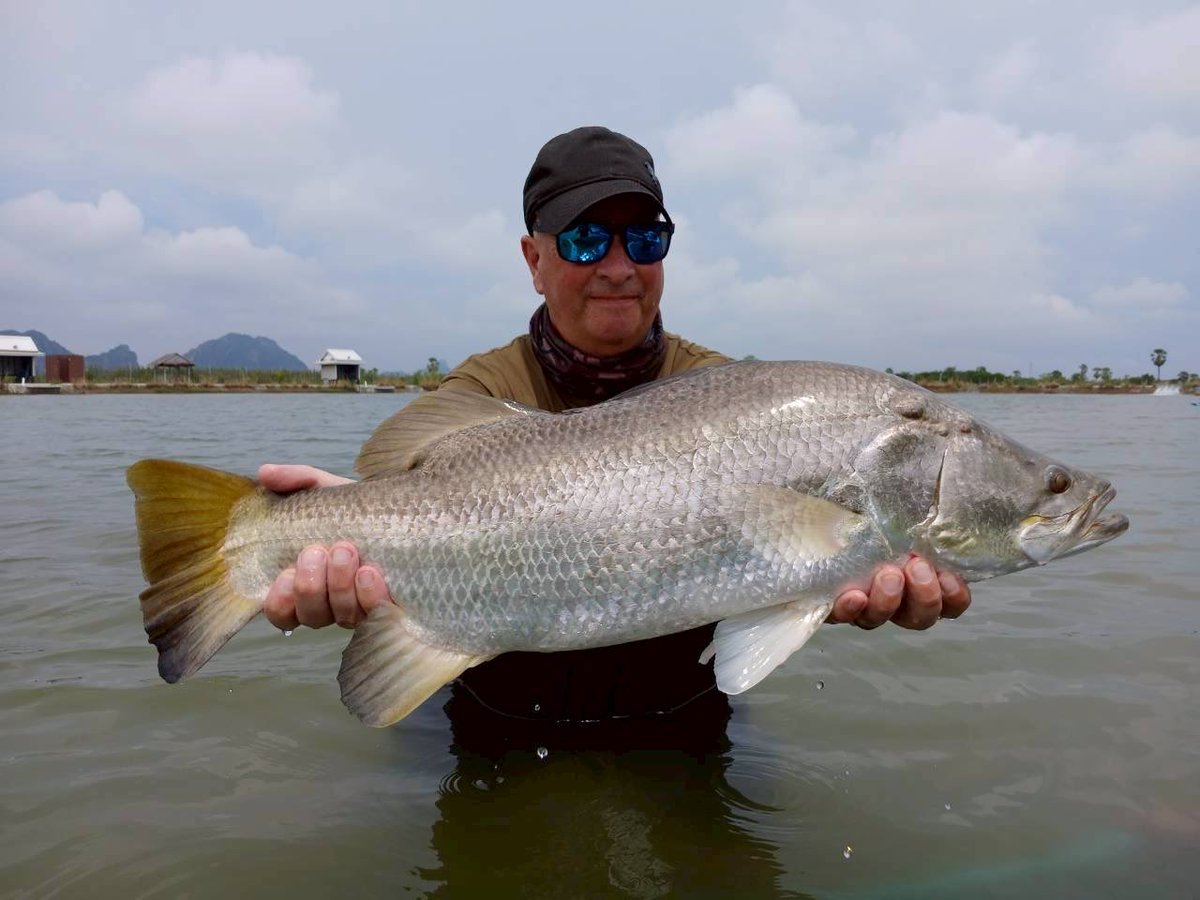 Keith Dawe tweet media