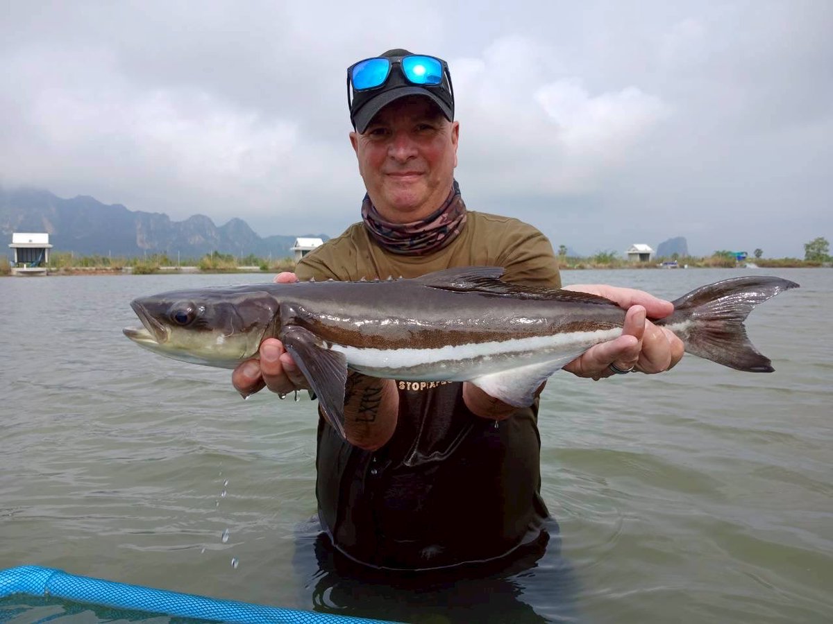 Keith Dawe tweet media