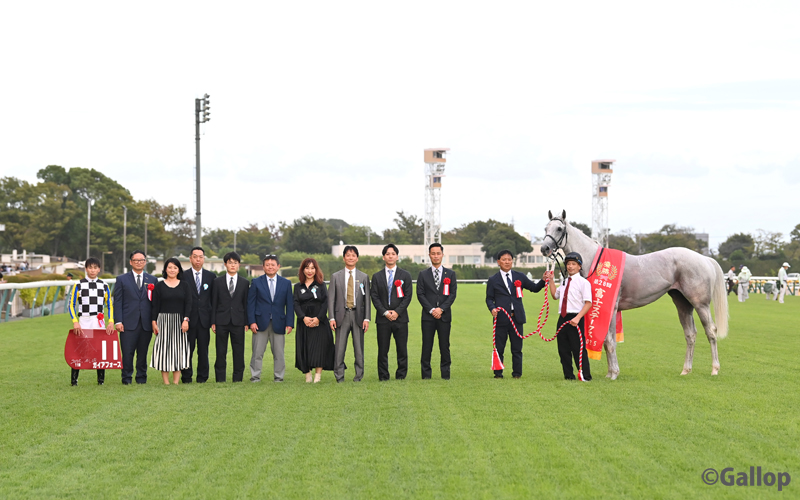 miyaさん はる交配✡️ハル×しずく✡️ミヤ苗 命名同士 多肉 抜き苗 miyaさん はる交配✡️ハル×しずく✡️ミヤ苗 命名同士 多肉 抜き