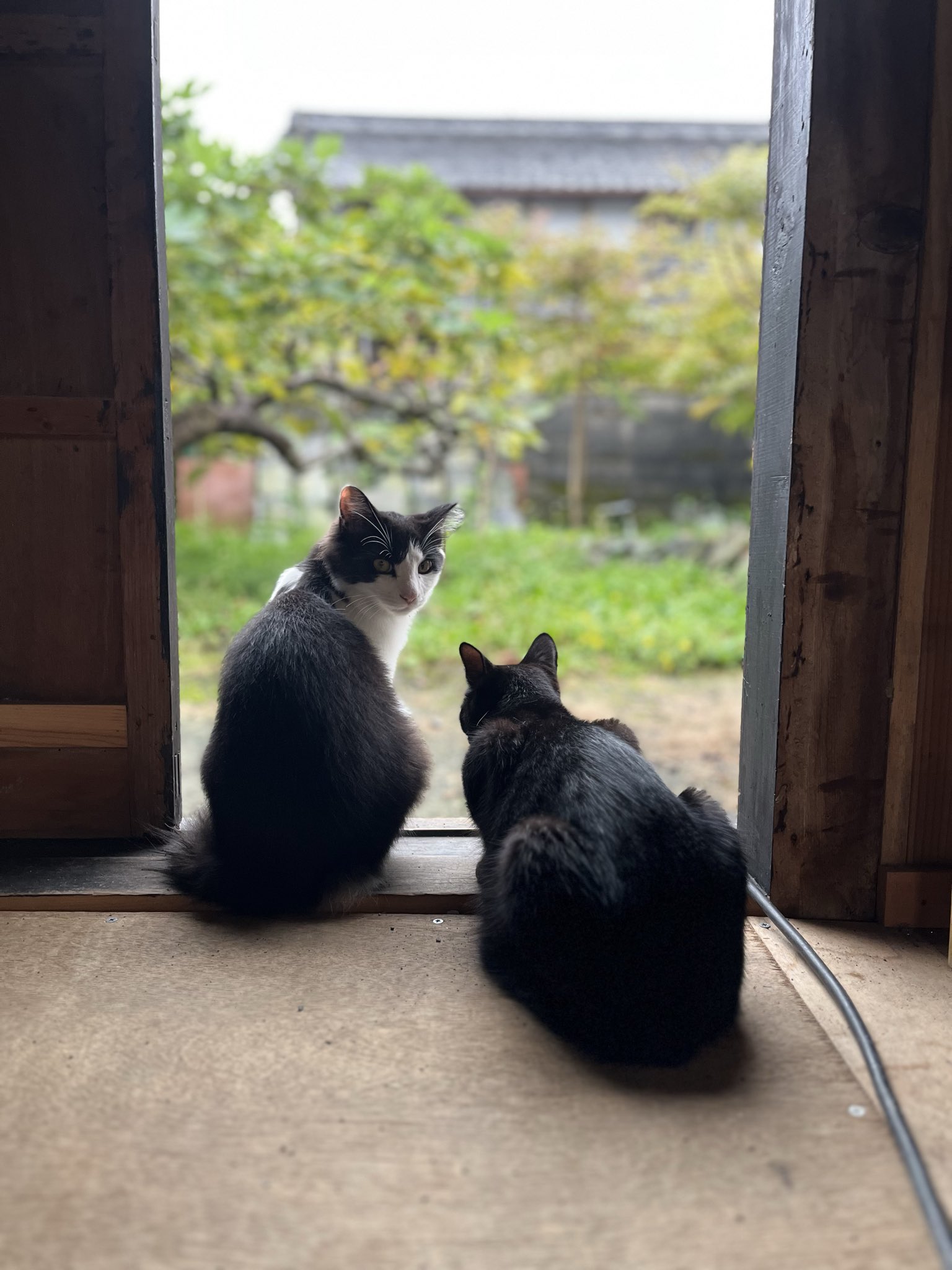 あおき量産 on X: 