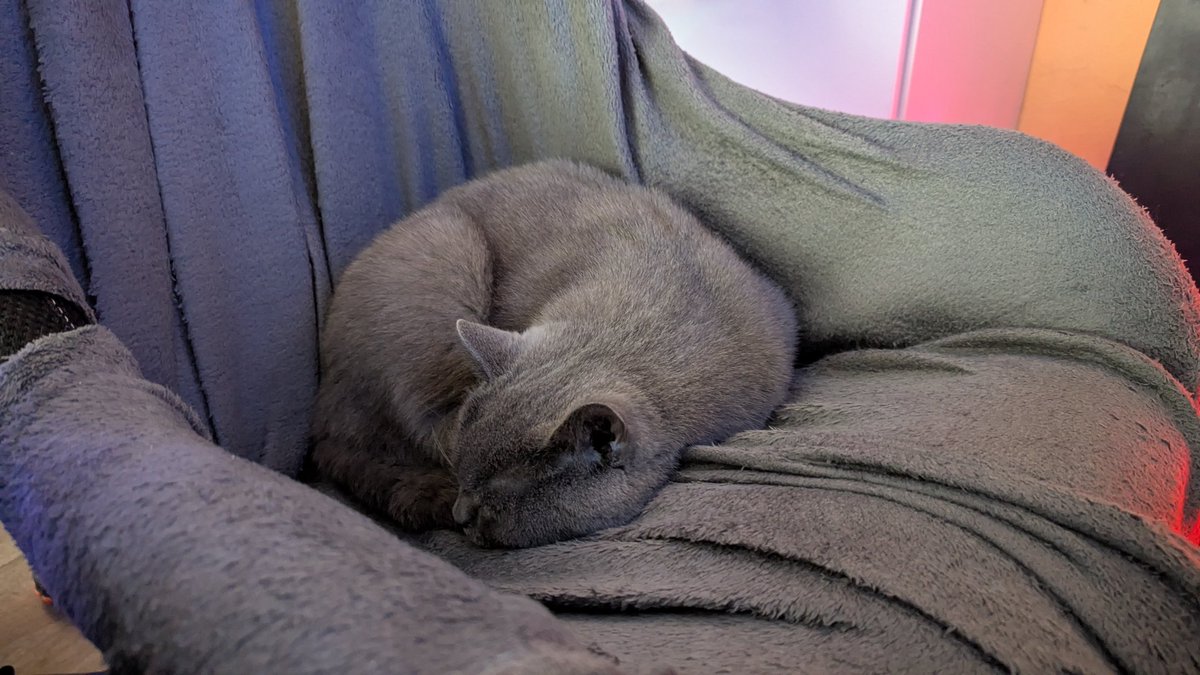 Chris Heilinger (@chris_heilinger) on Twitter photo Have a lovely, relaxing weekend, X friends.
First of all, a little recovery from Friday. ๐น๐น๐โโฌ๐ค๐พ
#Kiro #cat Have a lovely, relaxing weekend, X friends.
First of all, a little recovery from Friday. ๐น๐น๐โโฌ๐ค๐พ
#Kiro #cat