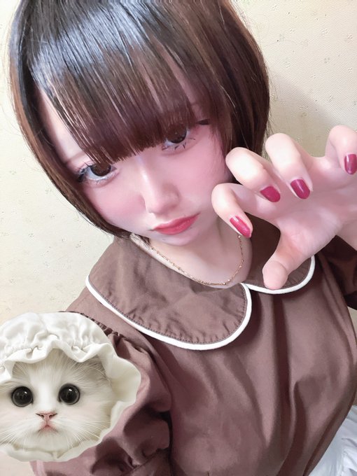 にゃんこメイドカフェ にゃんさんぶるのツイート