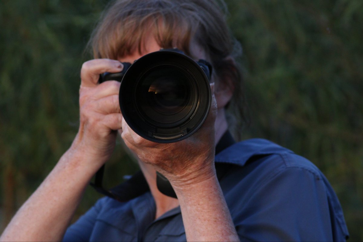 A Birds Eye view with <a href="/SandyHorne61/">Sandy Horne</a>