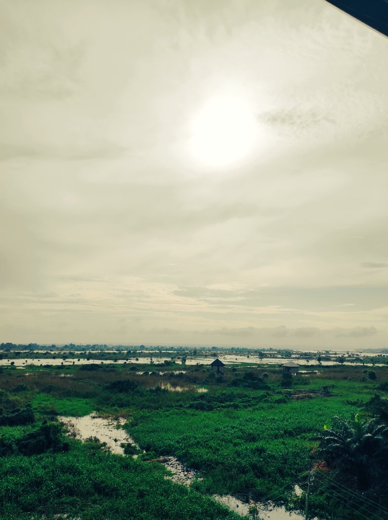 lx_d_gr8's tweet image. Good morning 🌞