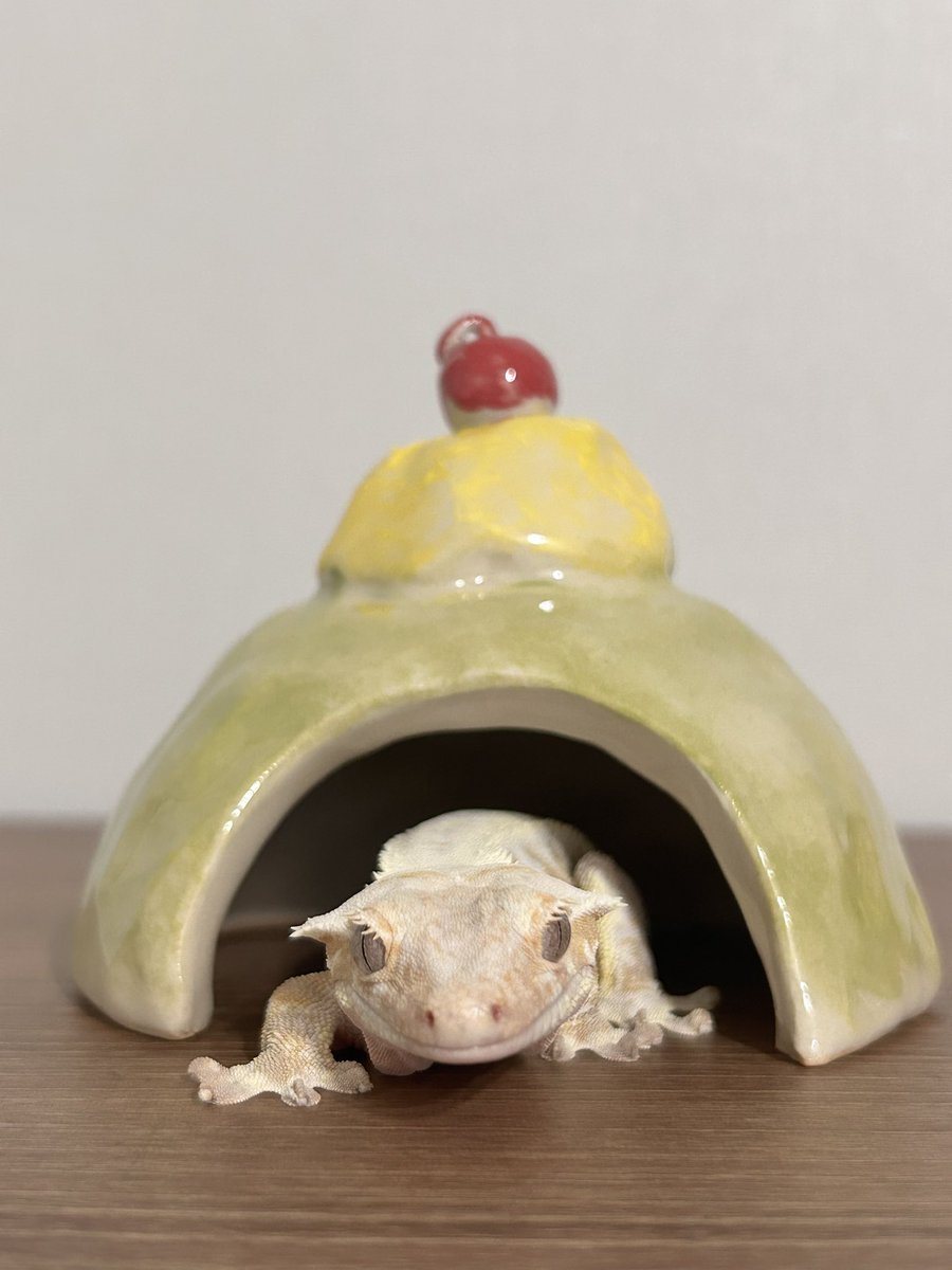 수제 은신처 도착🥹
메론소다 음료수를 모티브로 만들었다