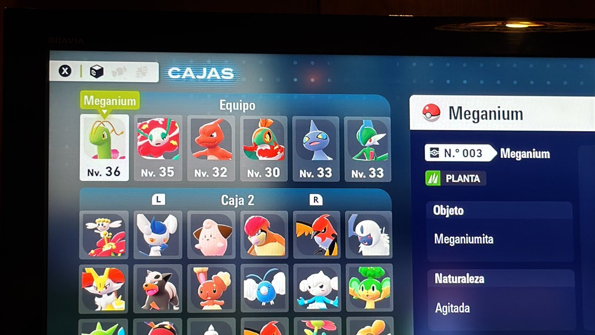 PkmnPedrusco's tweet photo. @FutureSightHQ_ https://t.co/FcHQp8cQyi